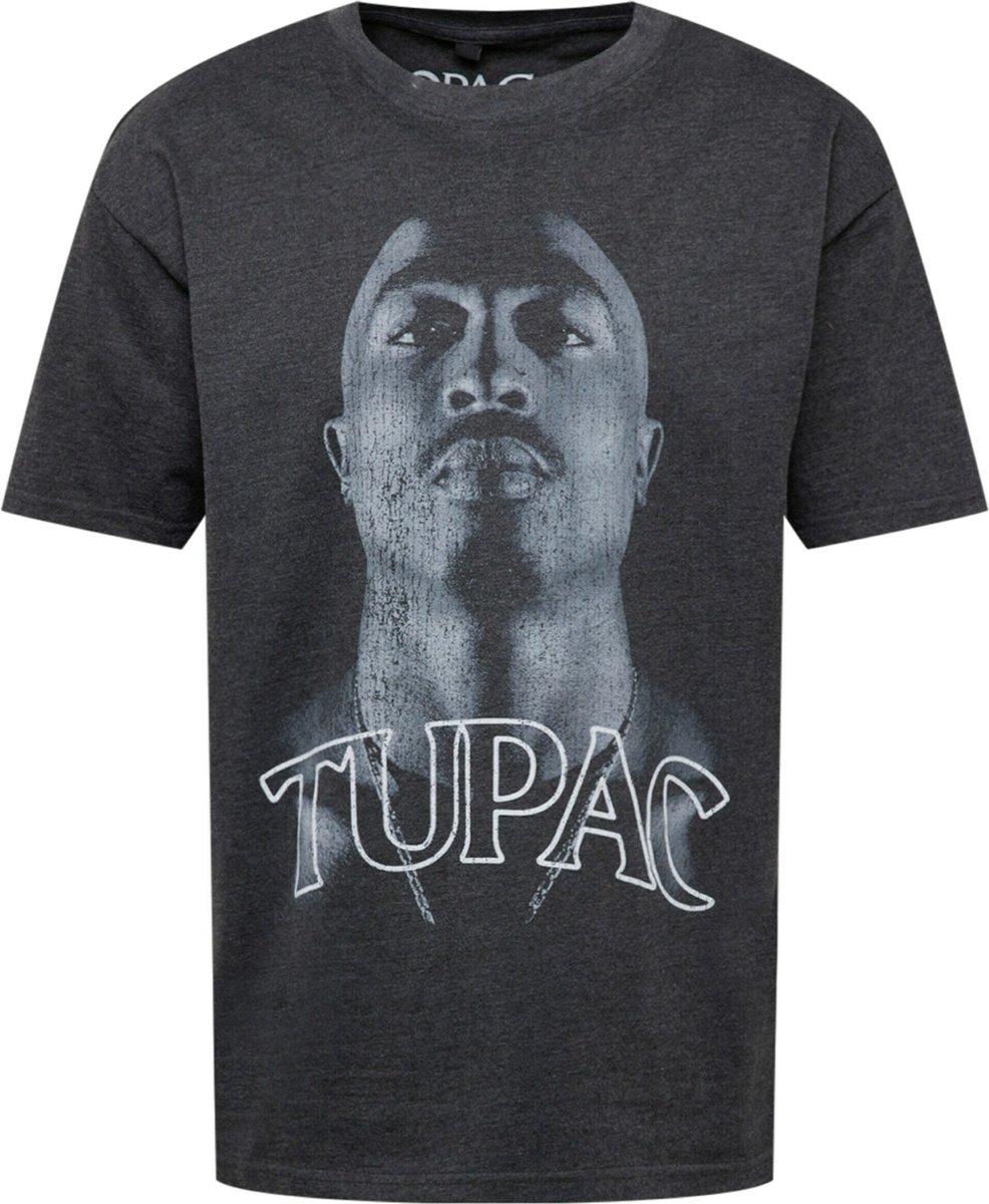 Mister Tee Tupac Up Oversize Heren T-shirt L Grijs