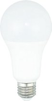 Diolamp 12V DC LED E27 - 10W (90W) - Daglicht - Niet Dimbaar - 4 stuks