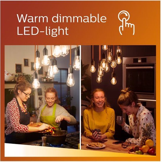 Philips Ampoule (à intensité variable)