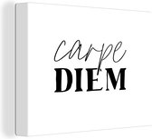 Tableau sur toile Proverbes - Carpe diem - Citations - Saisir le jour - 40x30 cm - Décoration murale