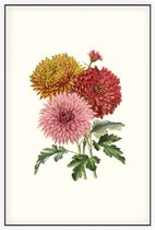 Chrysanten Aquarel (Chrysanthemum) - Foto op Akoestisch paneel - 100 x 150 cm