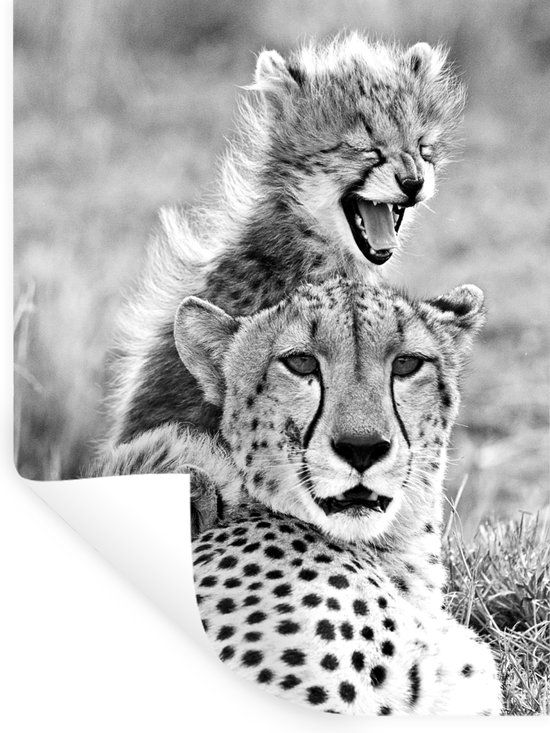 Muurstickers - Sticker Folie - Cheeta en haar baby cheeta's - zwart wit - 30x40 cm - Plakfolie - Muurstickers Kinderkamer - Zelfklevend Behang - Zelfklevend behangpapier - Stickerfolie