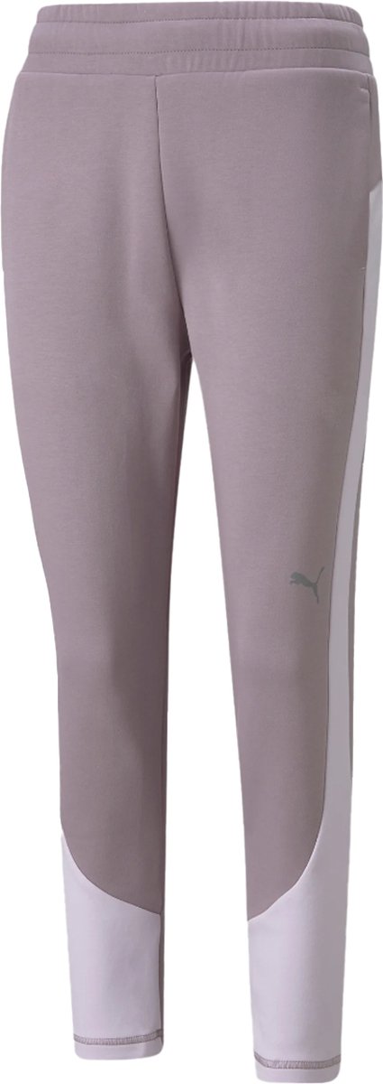 Puma evostripe joggingbroek in de kleur . Bruin