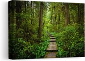 Artaza Canvas Schilderij Voetpad in het Bos met Groene Planten - 30x20 - Klein - Foto Op Canvas - Canvas Print