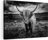 Artaza Canvas Schilderij Schotse Hooglanders in de Weide met Wolken - Zwart Wit - 120x80 - Groot - Foto Op Canvas - Wanddecoratie