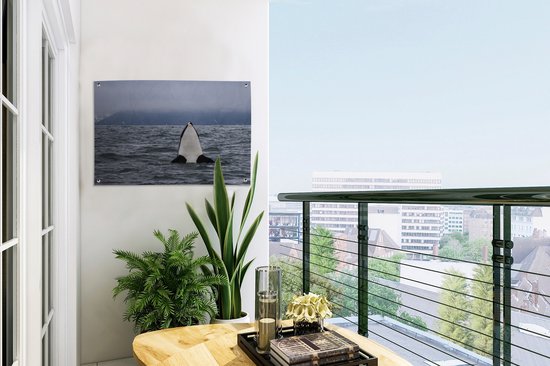 Poster Jardin orque au-dessus de l'eau 60x40 cm - petit - Toile de jardin / Toile d'extérieur / Peintures pour l'extérieur (décoration de jardin)