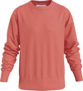 Calvin Klein Heren Sweater Rood maat XS