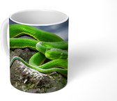 Mok - Groene slang op steen - 350 ML - Beker - Uitdeelcadeautjes