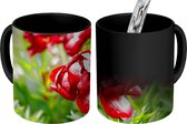 Magische Mok - Foto op Warmte Mok - Een tuin gevuld met rode pioenrozen - 350 ML - Uitdeelcadeautjes