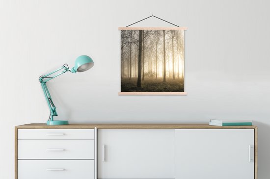 Porte-affiche avec affiche - Affiche scolaire - Forêt - Soleil - Brouillard - 60x60 cm - Lattes vierges