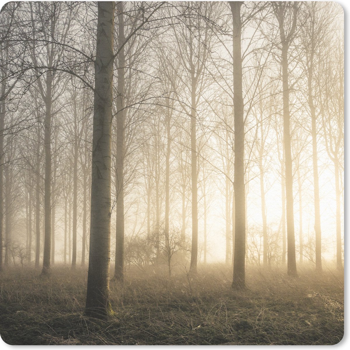Muismat 20x20 cm - Mousepad Bos - Zon - Mist - Muismatten