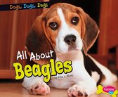 Dogs, Dogs, Dogs - All about Beagles