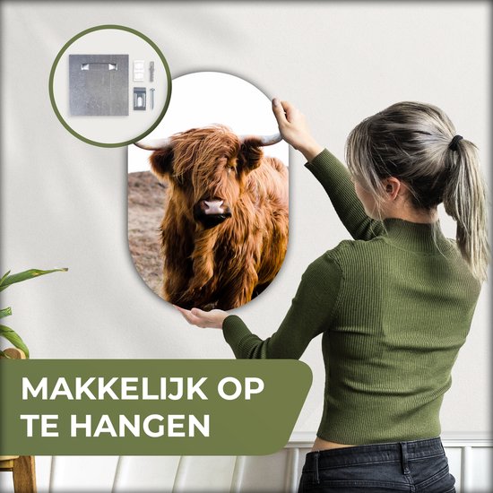 Ovale Mural - Ovale Mural - Décoration murale Plastique - Peinture Ovale - Highlander écossais - Paysage - Vache - Marron - Animaux - Nature - 40x60 cm - Forme miroir ovale sur plastique