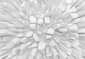 Fotobehang - White dahlia.