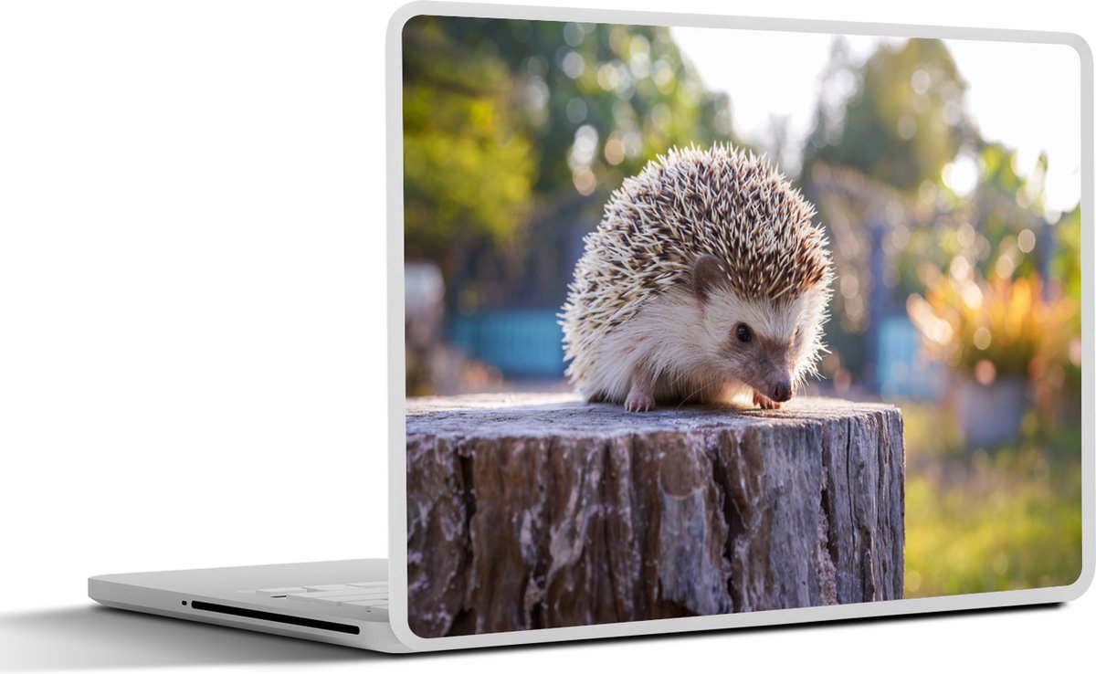 Laptop sticker - 13.3 inch - Egel op een boomstam - 31x22,5cm - Laptopstickers - Laptop skin - Cover