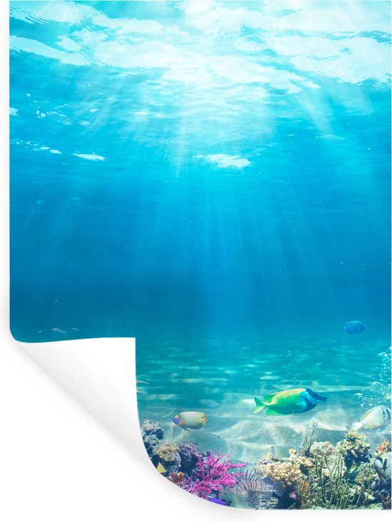 Muurstickers - Sticker Folie - Onderwaterwereld - Zeedieren - Water - Zee - Koraal - Blauw - 120x160 cm - Plakfolie - Muurstickers Kinderkamer - Zelfklevend Behang XXL - Zelfklevend behangpapier - Stickerfolie