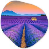 Organische Wanddecoratie - Kunststof Muurdecoratie- Organisch Schilderij - Lavendel - Paars - Bloemen- 60x60 cm - Organische spiegel vorm op kunststof