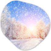 Organische Wanddecoratie - Kunststof Muurdecoratie- Organisch Schilderij - Sneeuw - Zon - Winter- 60x60 cm - Organische spiegel vorm op kunststof - Kerstdecoratie in huis - Kerstmis