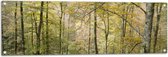 WallClassics - Poster de jardin - Arbres sur une pente dans une forêt - 120x40 cm Photo sur Poster de jardin (décoration murale pour l'extérieur et l'intérieur)