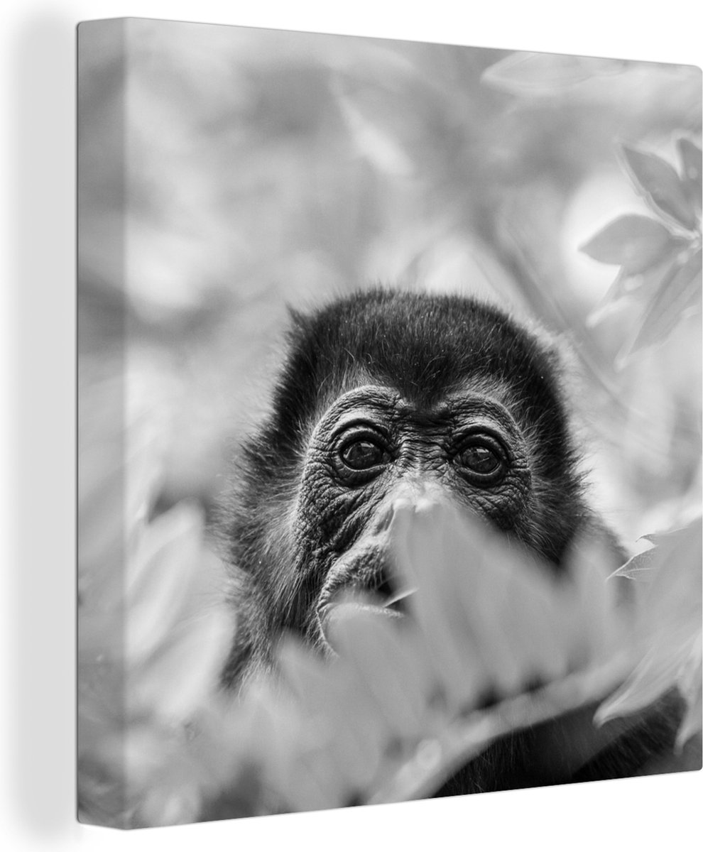 Portrait d un singe hurleur dans la nature du Costa Rica en toile