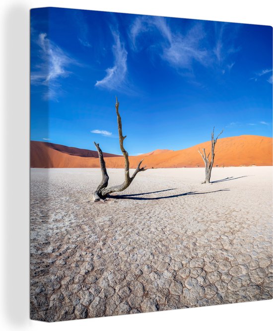 Oude bomen in de woestijn Canvas 100x100 cm - Foto print op Canvas schilderij (Wanddecoratie)
