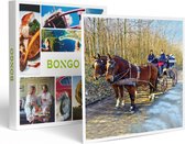 Bongo Bon - RIT OP EEN PAARDENKOETS VOOR 1 PERSOON IN DE ARDENNEN - Cadeaukaart cadeau voor man of vrouw