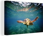 Canvas Schilderij Schildpad - Water - Blauw - 120x80 cm - Wanddecoratie