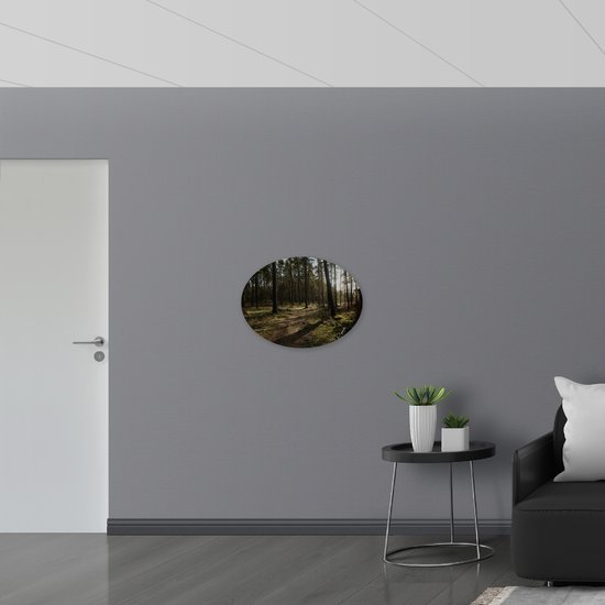 WallClassics - Panneau de mousse PVC ovale - Ombre sur le chemin forestier - 68x51 cm Photo sur ovale (avec système de suspension)