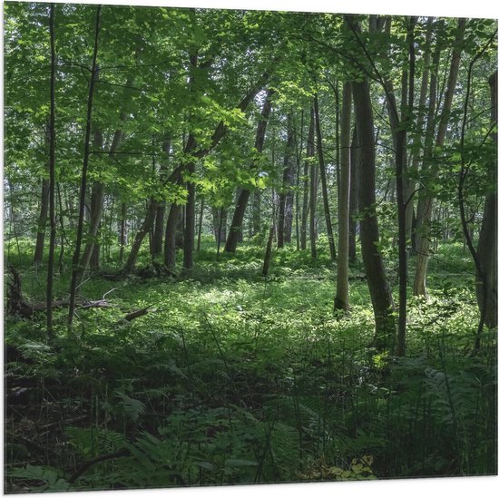 WallClassics - Vlag - Verschillende Groene Bomen in Bos - 100x100 cm Foto op Polyester Vlag