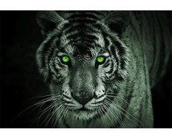 Fotobehangkoning - Behang - Fotobehang - Tijger met Groene Ogen - Vliesbehang - 152,5 x 104 cm