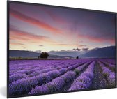 Affiche avec cadre Coucher de soleil sur lavandes - 30x20 cm