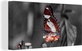 Canvas - Dieren - Vlinder - Bloemen - Natuur - Oranje - Woonkamer - 80x40 cm - Canvas doek - Schilderijen op canvas