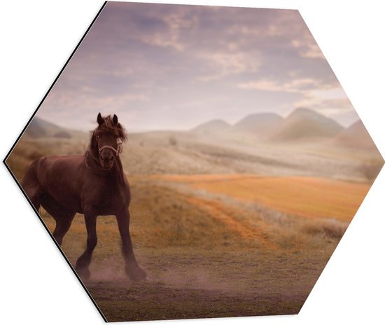 WallClassics - Dibond Hexagon - Zwart Paard in de Natuur - 60x52.2 cm Foto op Hexagon (Met Ophangsysteem)
