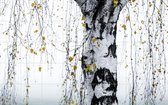 IXXI Birch Tree - Wanddecoratie - Fotografie - 160 x 100 cm