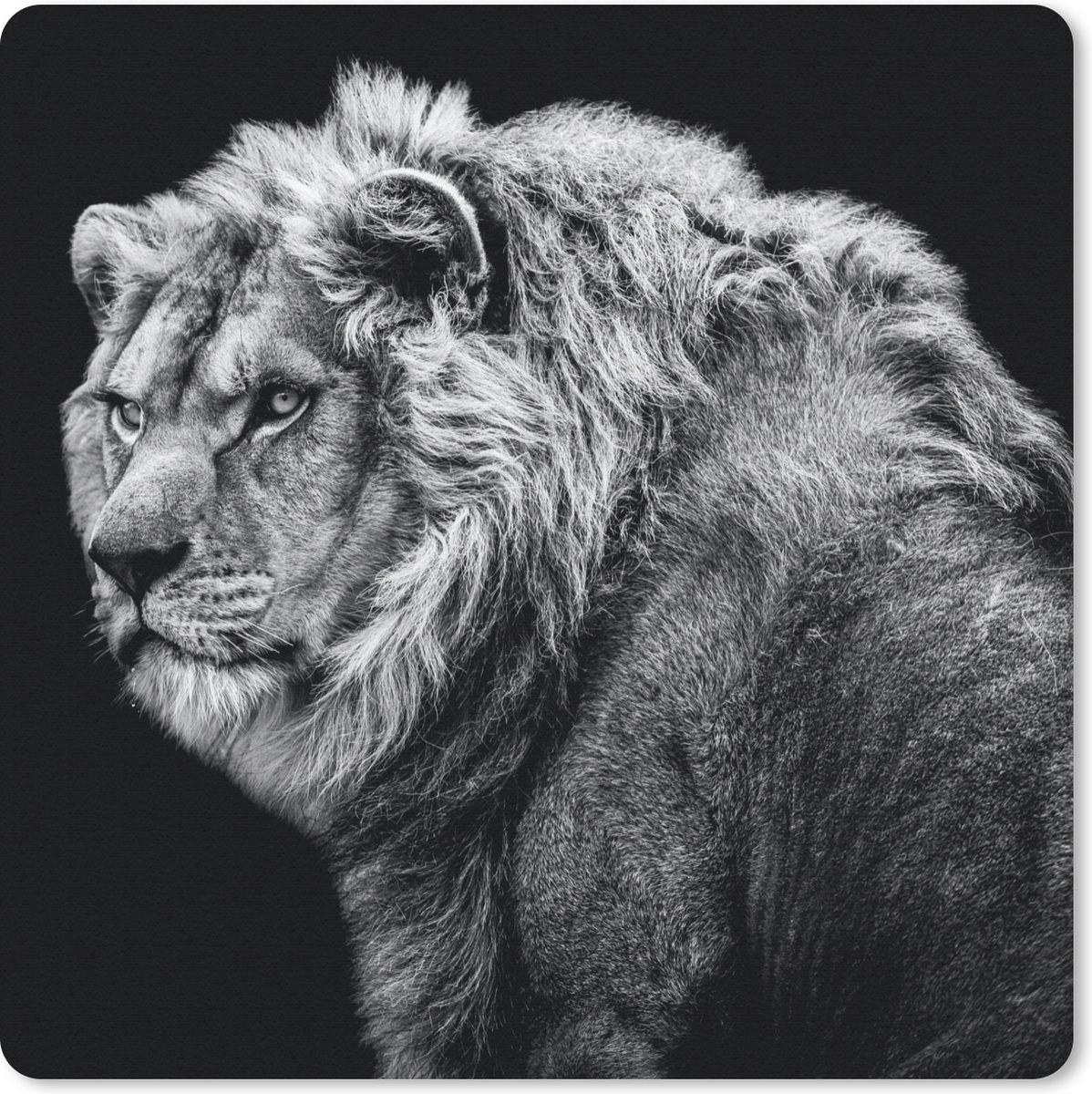 Muismat 20x20 cm - Mousepad Leeuw - Portret - Wilde dieren - Zwart - Wit - Muismatten