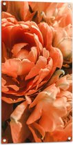 WallClassics - Tuinposter – Close-up van Oranje Pioenrozen - 50x100 cm Foto op Tuinposter  (wanddecoratie voor buiten en binnen)