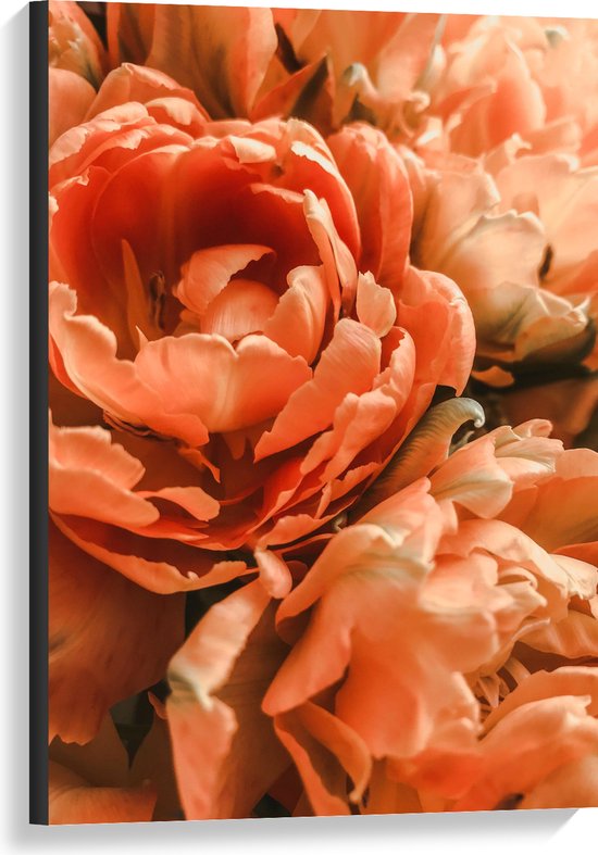 WallClassics - Canvas  - Close-up van Oranje Pioenrozen - 60x90 cm Foto op Canvas Schilderij (Wanddecoratie op Canvas)