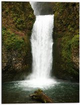 WallClassics - Dibond - Witte Waterval met Mos - 60x80 cm Foto op Aluminium (Met Ophangsysteem)