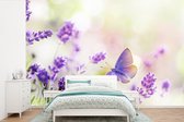 Behang - Fotobehang Lavendel - Vlinder - Bloemen - Breedte 525 cm x hoogte 350 cm