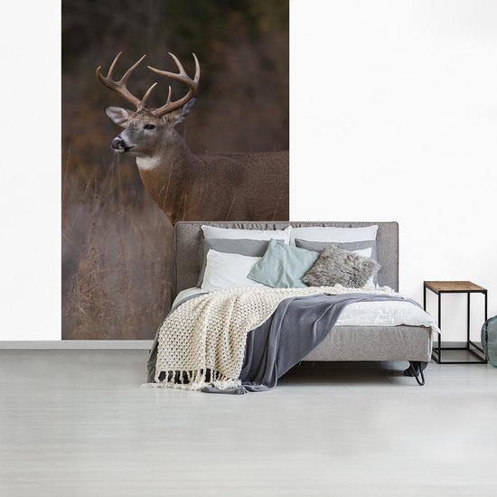 Behang - Fotobehang Herfst - Hert - Gras - Natuur - Dieren - Breedte 225 cm x hoogte 350 cm