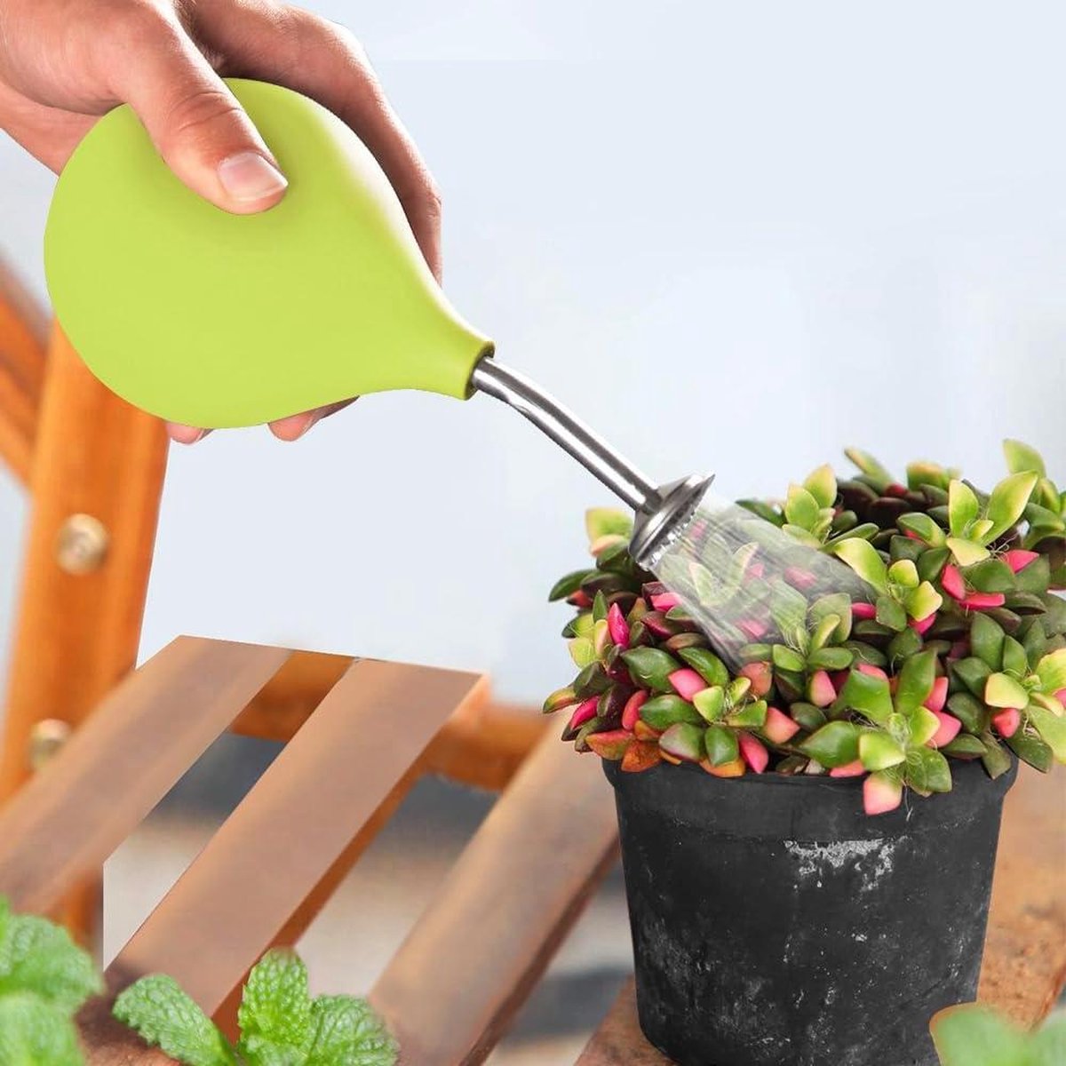 Roestvrijstalen gietsproeier bal sproeier voor kleine planten - lichtgroen