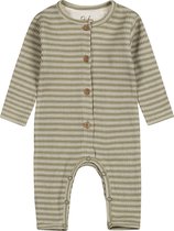 Dirkje Boxpak Light Faded Green 44