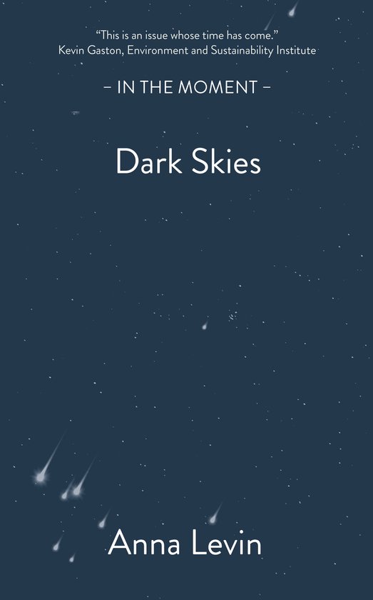 In the Moment- Dark Skies - cover