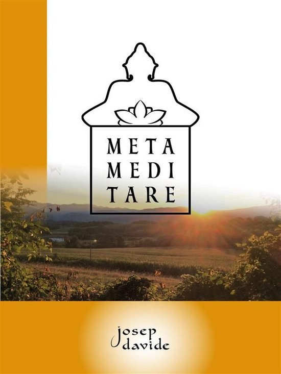 Metameditare - cover