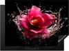 Watersplash - Fleur