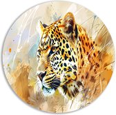 Luipaard schilderij - Dieren schilderij rond - Wandschaal Kleuren - Wanddecoratie modern - Forex - Kunst muurcirkel forex 80x80 cm