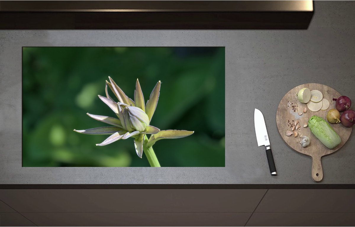 Inductieplaat Beschermer - Close Up van Paars met Groene Hosta Bloem - 85x51 cm - 2 mm Dik - Inductie Beschermer - Bescherming Inductiekookplaat - Kookplaat Beschermer van Zwart Vinyl