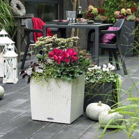 Pflanzkübel Lechuza Cube Cottage 30 sandbraun
