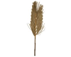 Palmblad naturel 28x1.3x99cm decotak XL