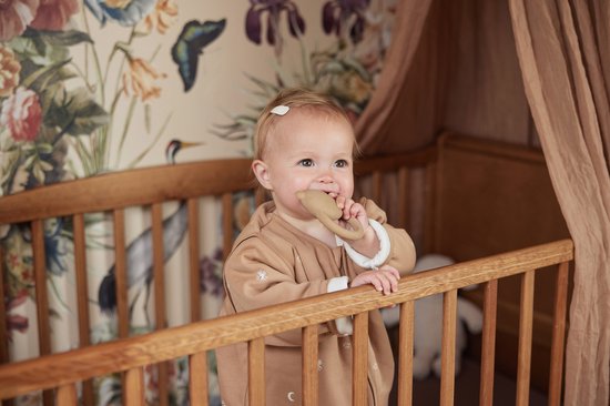 Jollein Bijtring Rubber Teddy Bear - Biscuit van Jollein — afbeelding 2
